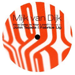 Mijk Van Dijk -  How Deep Is Your Love (John Tejada Mix)