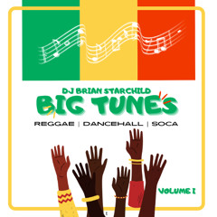 🌴🔥 DJ BRIAN STARCHILD presents: BIG TUNES (Vol 1) 🔥🌴