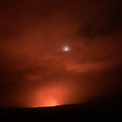 Junglist Bento box mix 5-16-25