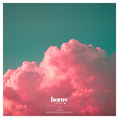 DC - "Leaving" // Horny United Private Remix (Preview)