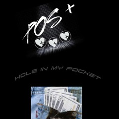 Hole In My Wallet POS+ Tag