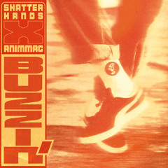 Shatter Hands & Animmac - Buzzin' EP
