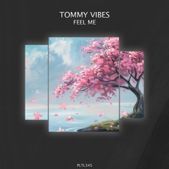 Tommy Vibes - Love Spell