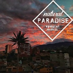 Natural Paradise Special NkoBeats