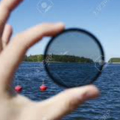Polarisation