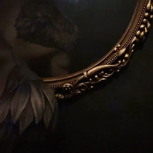 우림에게 VANN하다