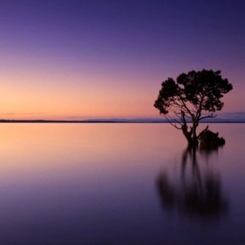 RUKKUS - Track 13 v3