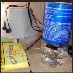 Plody kvetov Marie Jany