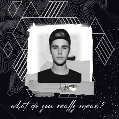 What DO you Really  Mean? (JOEŸ mashup)