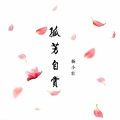 Cô Phương Tự Thưởng - Dương Tiêu Tráng || 孤芳自赏 - 杨小壮