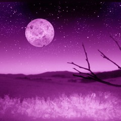 Mar io - Twilight of Ages (Remixes) [Broque]