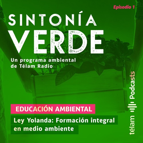Listen to EDUCACIÓN AMBIENTAL – LEY YOLANDA: FORMACIÓN INTEGRAL EN MEDIO  AMBIENTE by Audio in Sintonía Verde playlist online for free on SoundCloud