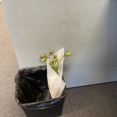 “You Were Always On My Mind” (Chris Stapleton) - Willie Nelson’s 90th (320 kbps).