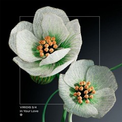 Camille Luciani - In Your Love