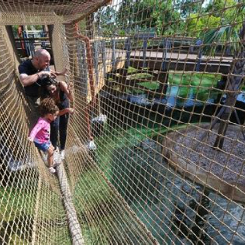 Review Special Price Zoo Miami Ticket With Optional Upgrade