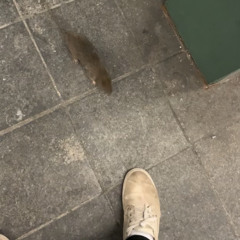 let me complain (prod. spyder x skress)