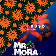 LUNA X ME REHUSO (Mr.Mora mashup) + INTRO EXTENDED Feid x Danny Ocean Free Dowload Club Edit
