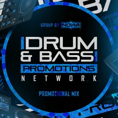 🐤 DRUM & BASS PROMOTIONS NETWORK MIXTAPE FEAT. DJ BALLISTIC 🐤
