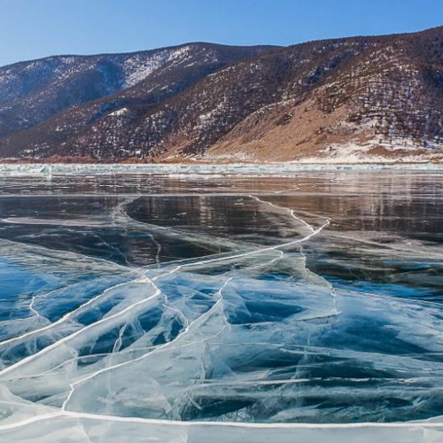 Admnty form background 🐻FREE DOWNLOAD