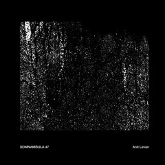 Somnambula 47 — Anit Levan