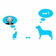 Odds Without Ends - Side A