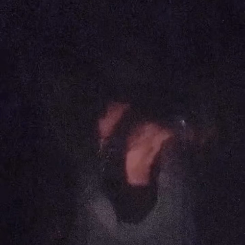 Destroy Lonely- Perfect Aim LQ (Snippets combined)