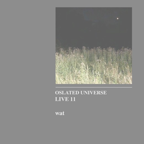 Oslated Universe Live 11 - wat