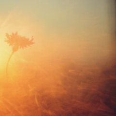CHANGE OF PLANS (SoundCloud Exclusive)