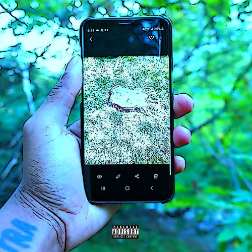 if these WALLS can talk