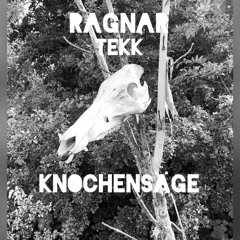 Knochensäge (HardTekk Set mit 100 Sachen 80)