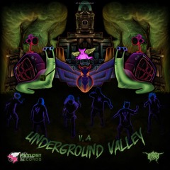 Corubamba & Jahwhoo - Astral Illusion (V.A. - Underground Valley | PsyLost Rec.)