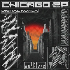 Digital Koala - Chicago