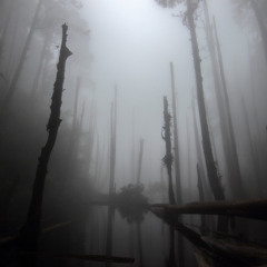 OUTTA T¡ME! ☆ p.dtmlife