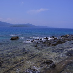 Whale Fall