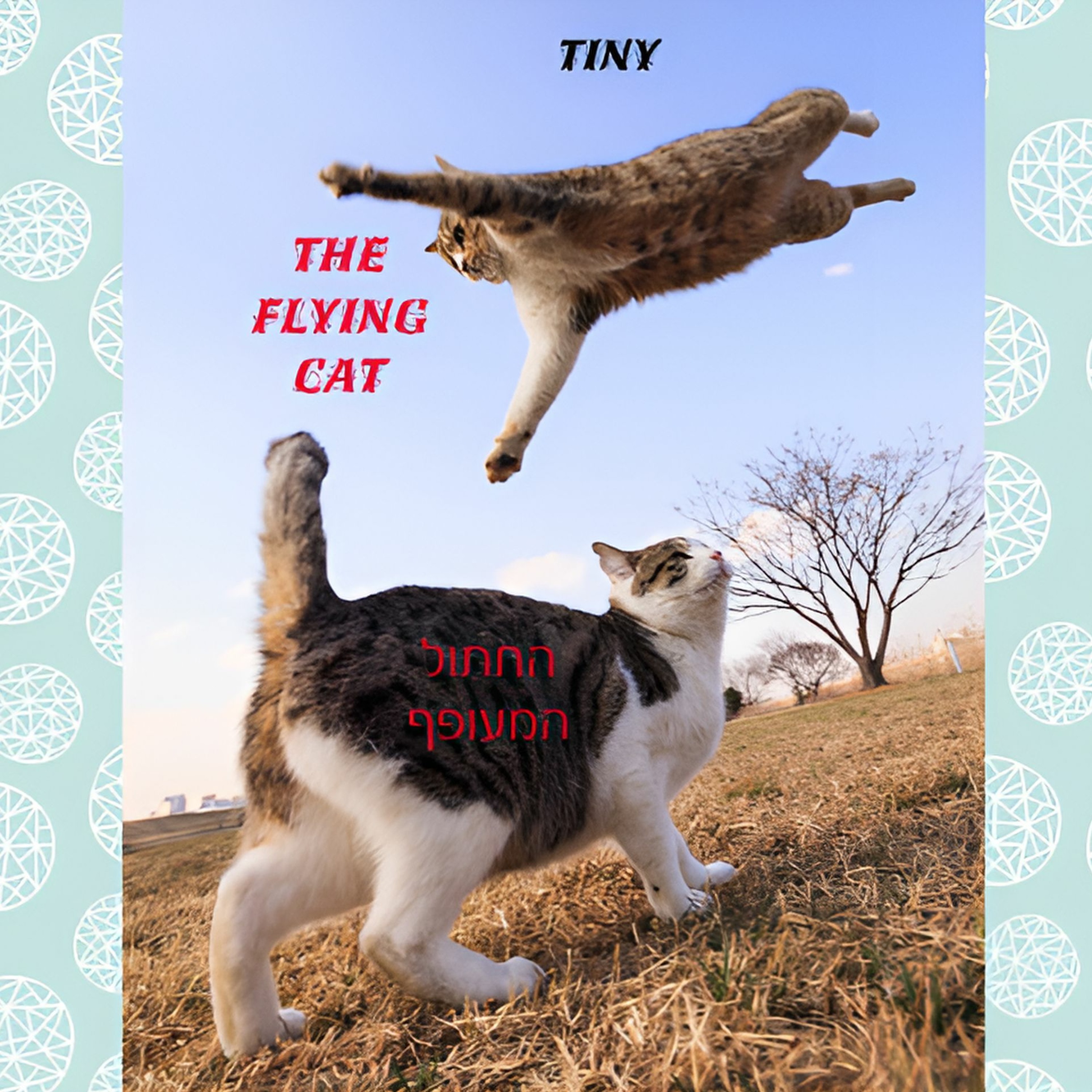 The Flying Cat - החתול המעופף episode artwork