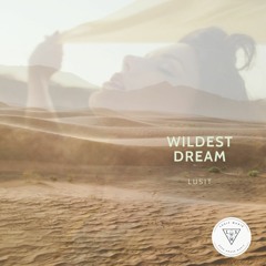 Taylor Swift - Wildest Dream (Lusit Remix)