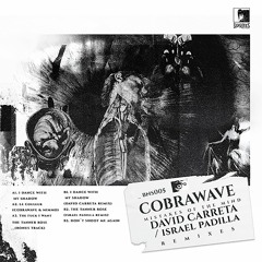PREMIERE330 // Cobrawave - I Dance With My Shadow (David Carretta Remix)