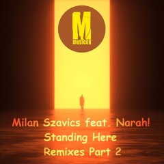 Milan Szavics - Standing Here (Will Konitzer remix)