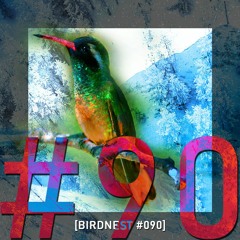 BIRDNEST #090 | One Swallow Doesn't Make a Summer| Podcast by The Lahar