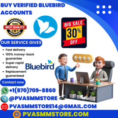 Can Buying Bluebird Accounts in 2025 Boost Your Online Presence?