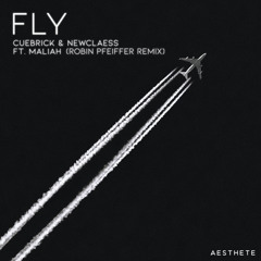 Fly (Robin Pfeiffer Remix) [feat. Maliah]