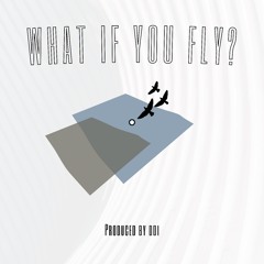 What If You Fly? (prod. ddi)