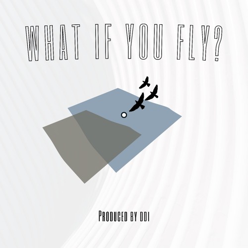 What If You Fly? (prod. ddi)