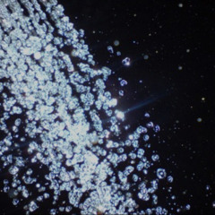 FLEE - Diamonds Like Rain ( Prod . Evilgiane )