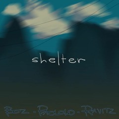 Shelter feat. The Boz