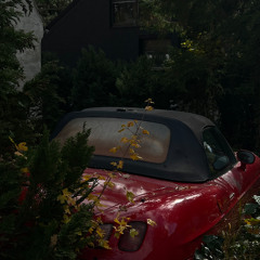 Jungle Acoustics (B2B)