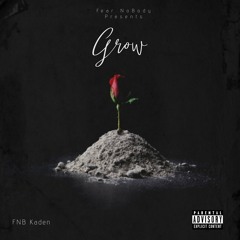 FNB Kaden - Grow (Official Audio) Prod. richboydior