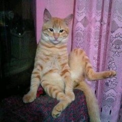 Massive Power Remix 2