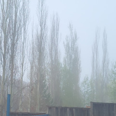 suicideyear - cccxxv (m3rykat3ashl3y bootleg) (hardtechno)