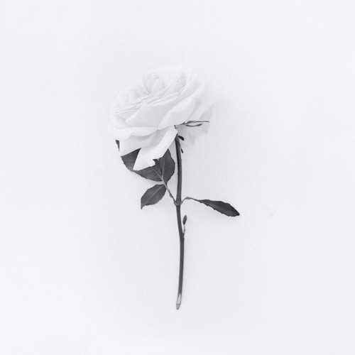 slowwwie - white rose (prod. Zbeats x IOF)
